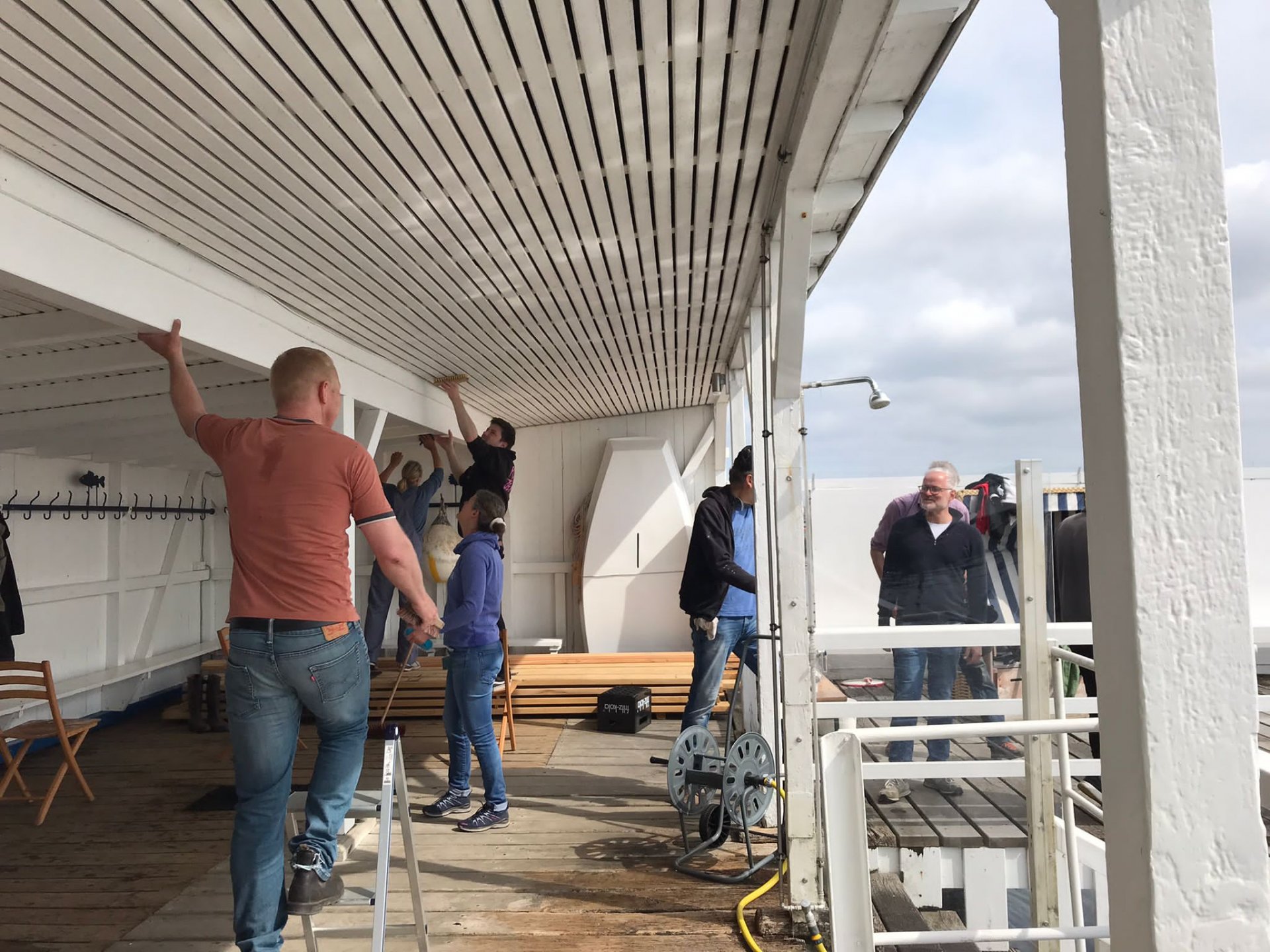 Entfernung der Spinnweben